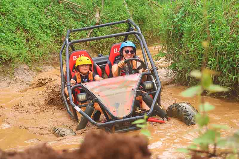 buggy3